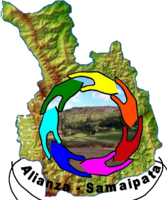 alianza