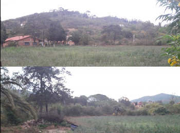 terrain